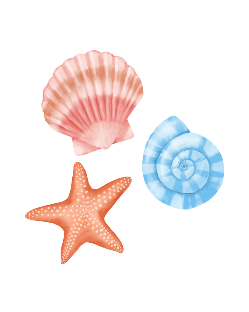 sea shells