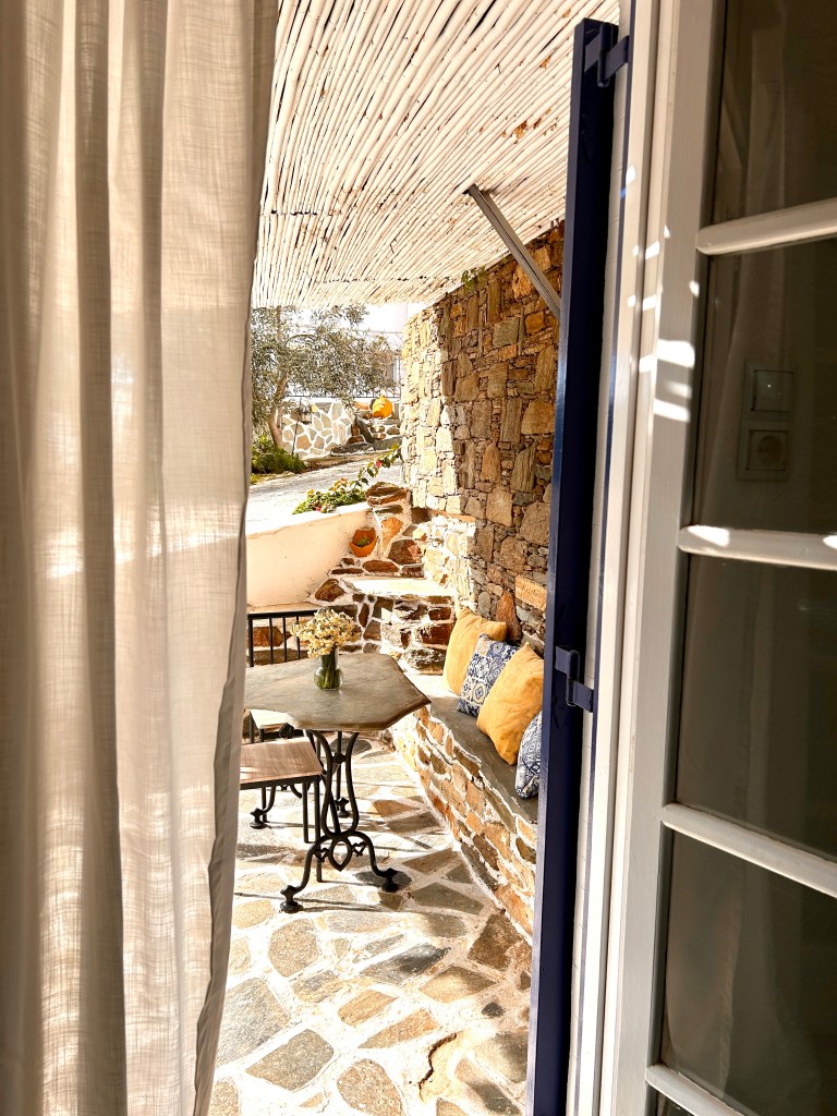 Double/ Twin room with terrace