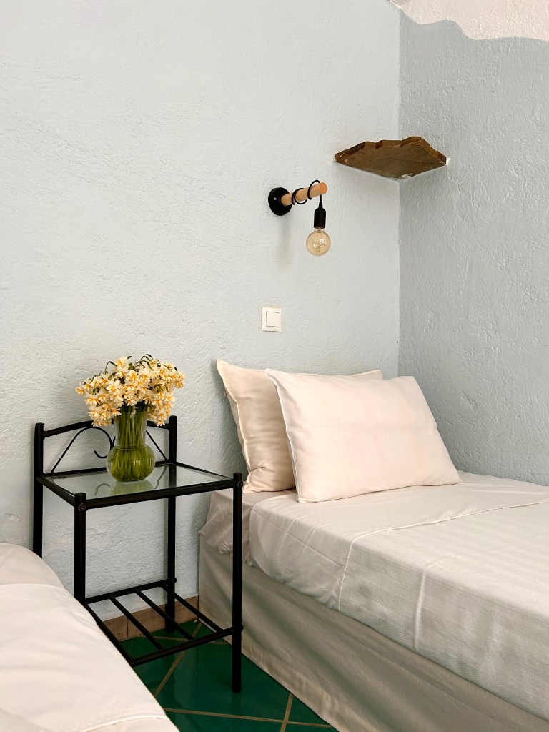 Double/ Twin room with terrace